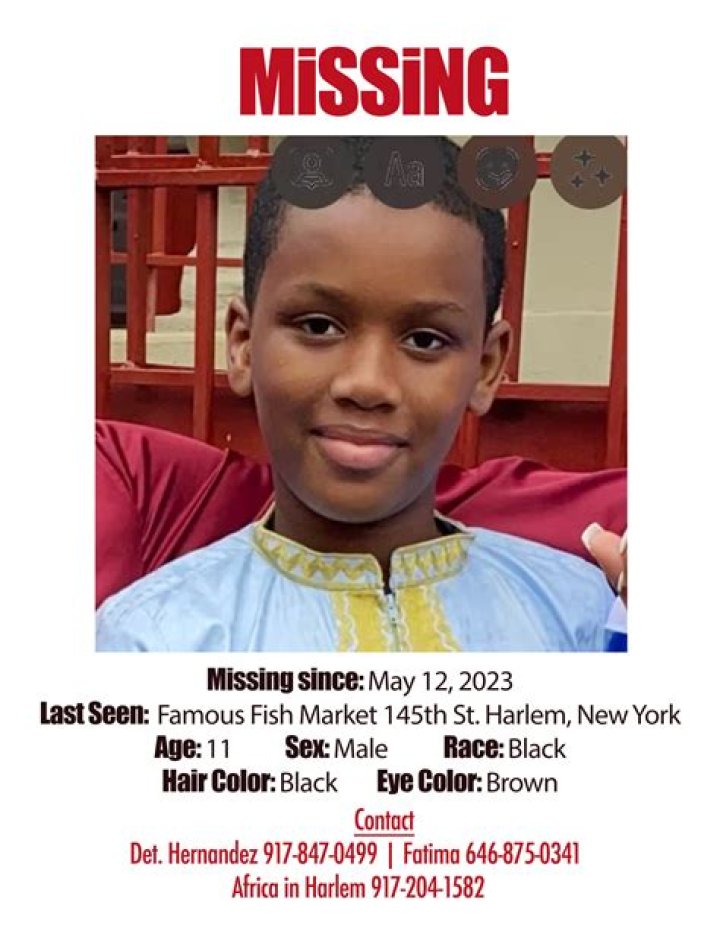 
11-Year-Old Alfa Barrie Missing At Madison Avenue Bridge: Is He Found? 