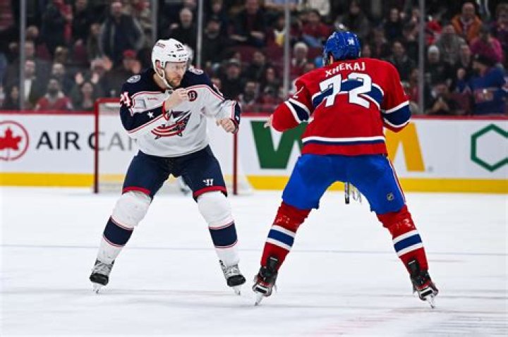 
Are AHL Player Kurtis Gabriel And Mathieu Olivier On Wikipedia? 