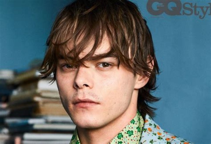 
Charlie Heaton Age, Wikipedia, Who, Nationality, Biography 