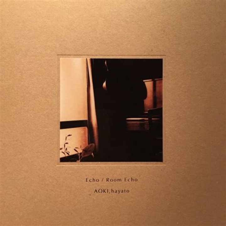 Echo V. Aoki Height, Weight, Net Worth, Age, Birthday, Wikipedia, Who, Nationality, Biography