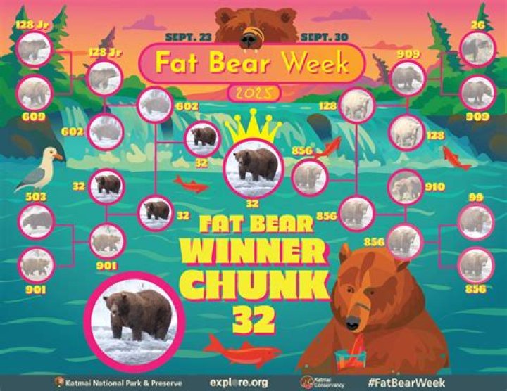 
Fat Bear Week Returns to Alaska’s Katmai Park with 12 Hefty Hibernators Vying for the Title 