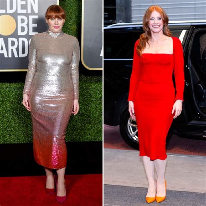 How Much Weight Has Bryce Dallas Howard Gained? Are Her Pregnancy and Plastic Surgery Rumors True?