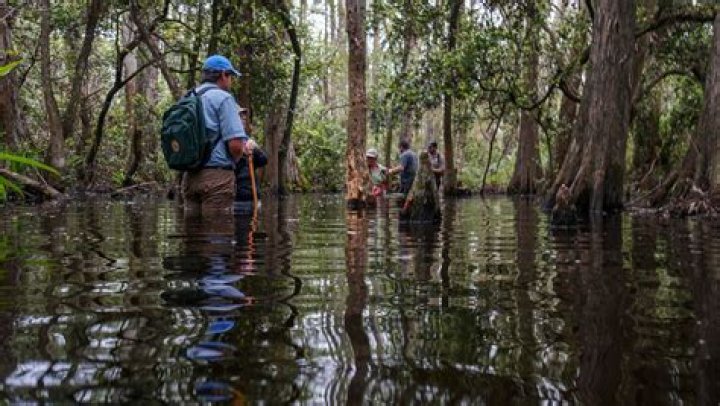 ID’s The Body in the Swamp: What happened to Brianna Armstrong?