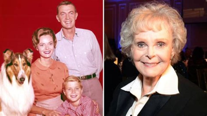 Is June Lockhart Still Alive, Check Out June Lockhart Age, Networth, Family, Daughter, And More
