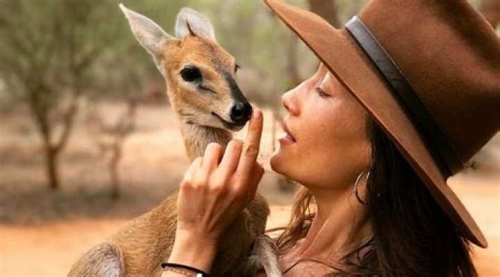 Is Maggie Q Married? Her Bio, Age, Husband, Parents, Net worth and Facts