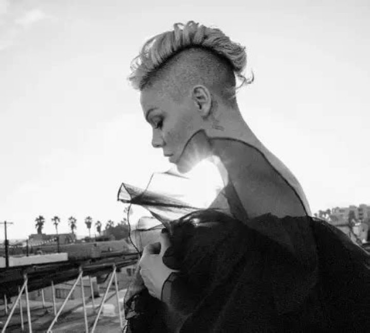 
Is Pink Gay Or Bi? What She Said About Her Sexuality? 