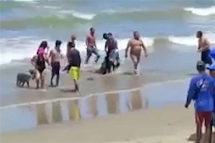 
Kaylane Timoteo Freitas: Second teen brutally attacked by shark at ‘world’s scariest beach’ within 48 hours 