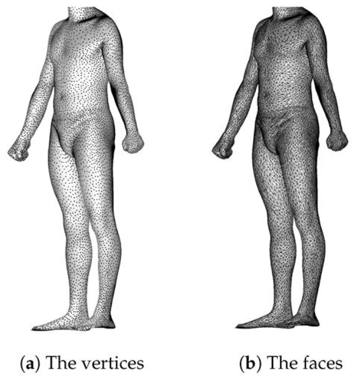 
‘Ladybug Raid Tiktok’ Meaning, How & Where Is The Term Used? 