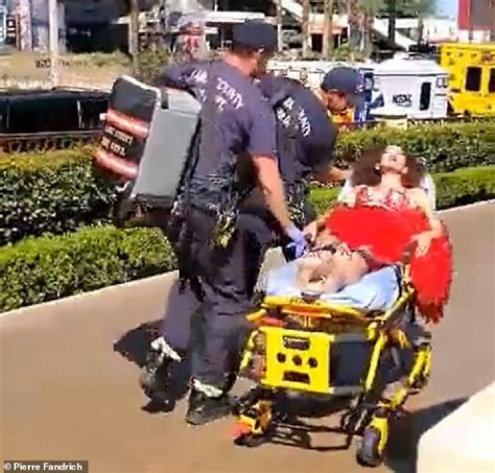 
Las Vegas elementary school teacher stabbed to death by madman with a kitchen knife 