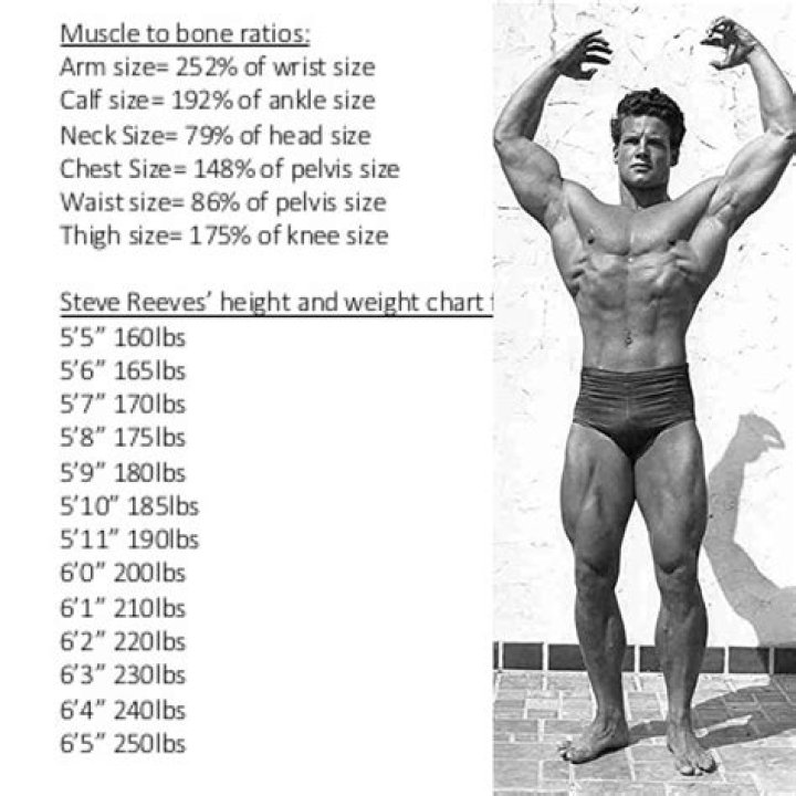 Melissa Reeves Height, Weight, Net Worth, Age, Birthday, Wikipedia, Who, Nationality, Biography