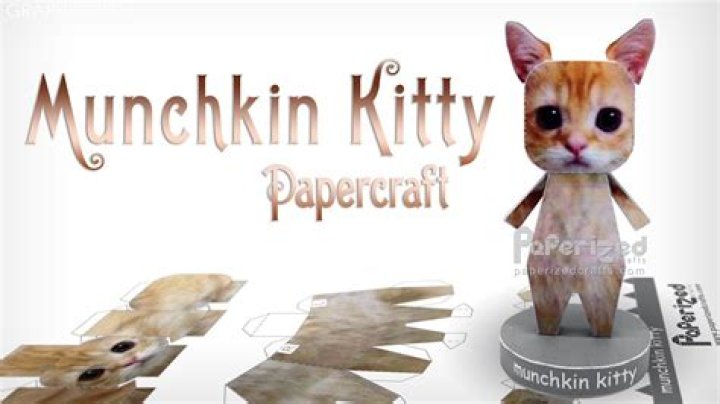 Munchkin Kitty Papercraft On Tiktok, El Gato Cat Template Is Viral On Multiple Social Media Platforms