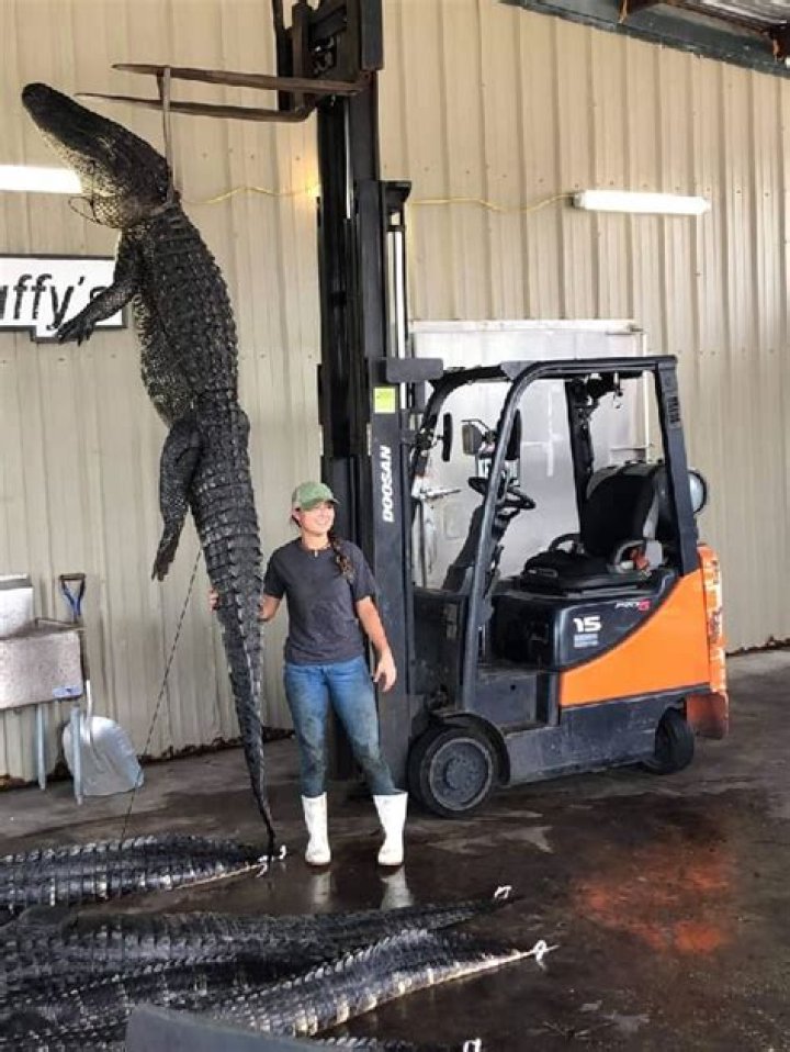 Murray SawChuck Height, Weight, Net Worth, Age, Birthday, Wikipedia, Who, Instagram, Biography