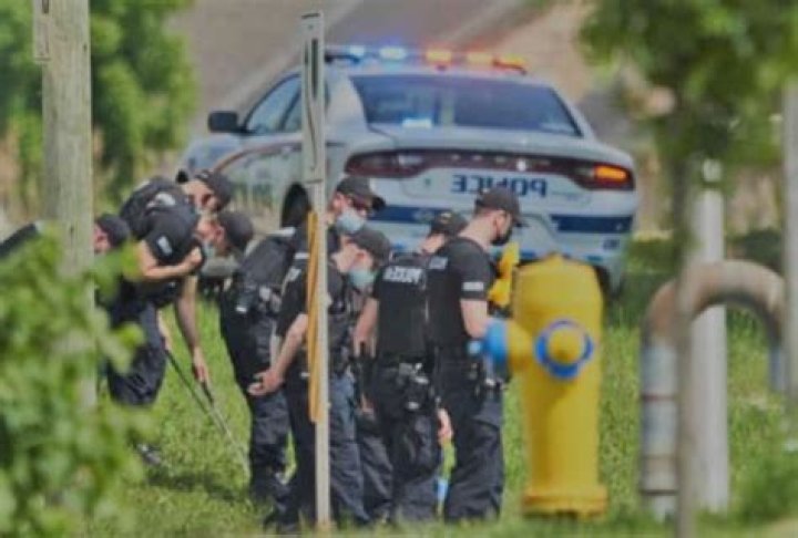 
Nathaniel Veltman Age, Birthday, Wikipedia, Who, Nationality, Biography 