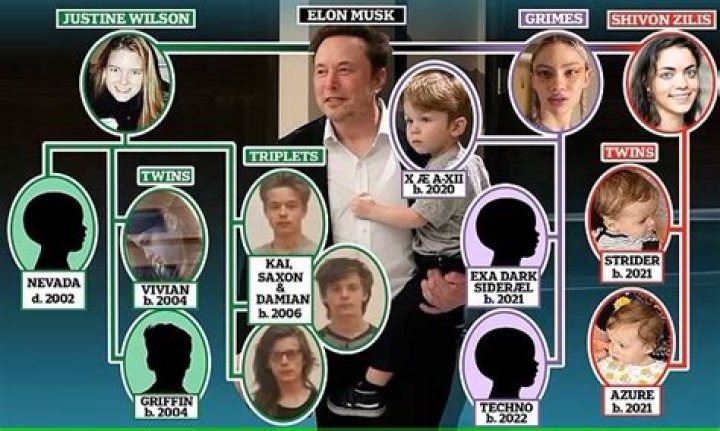 
Nevada Alexander Musk: The Tragic Loss in Elon Musk’s Family 