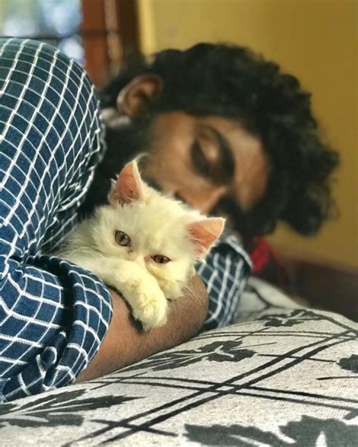 Pareekutty Perumbavoor Height, Weight, Net Worth, Age, Birthday, Wikipedia, Who, Instagram, Biography