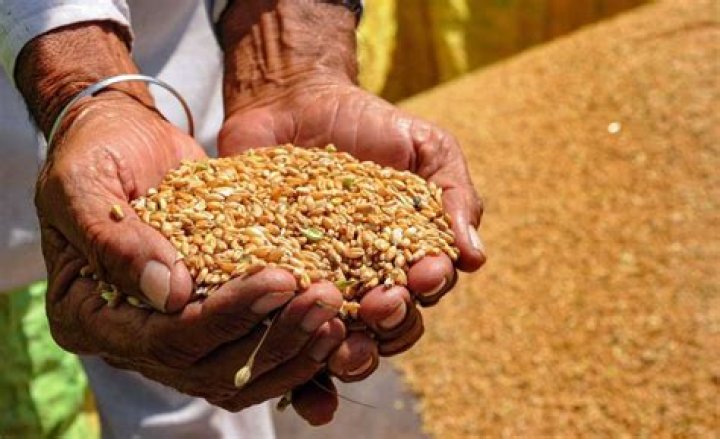 
Prices of essential food items significantly spike 