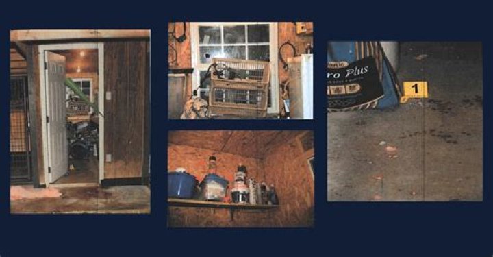 The Black Dahlia Autopsy Report | Dead Body Photos And Case Details