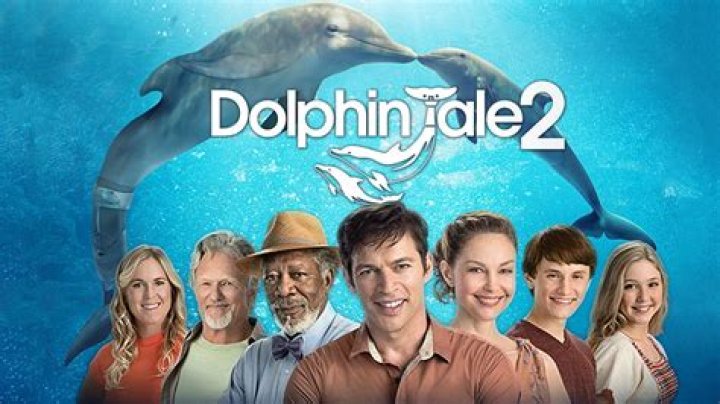 
The Dolphin Tale: Is It Based On True Story? The Dolphin Tale’s Story, Cast, Actors and Movie Details. 