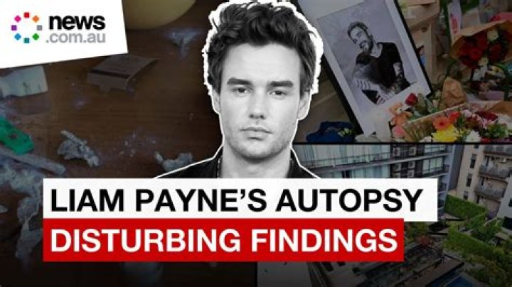 
The Untold Truth Of Liam Payne’s Fiancée – Maya Henry 