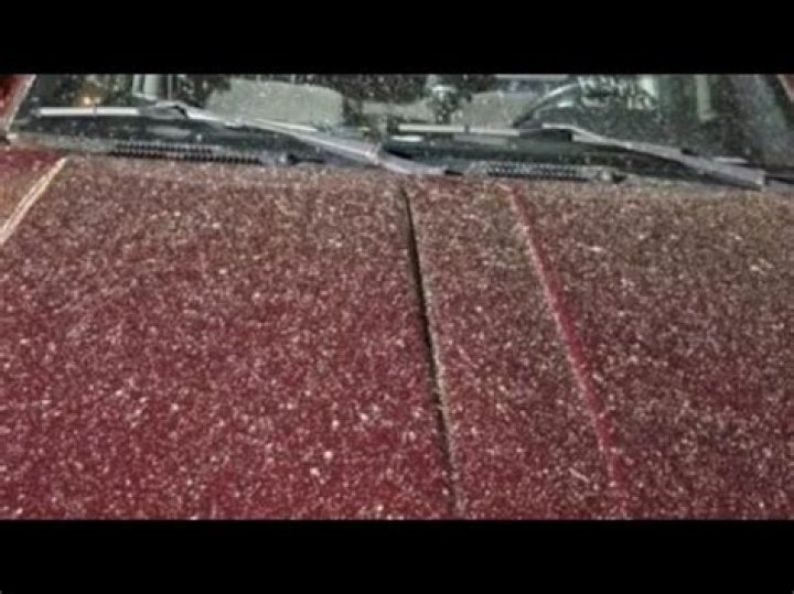 “This new season of Earth is getting crazy”: White powder falling from sky in Maryland and West Virginia sparks wild reactions