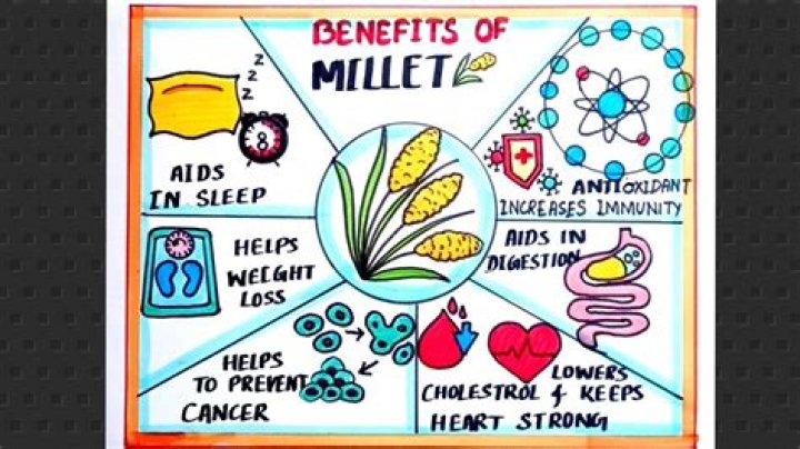 
UP tp spread awareness about millet benefits 