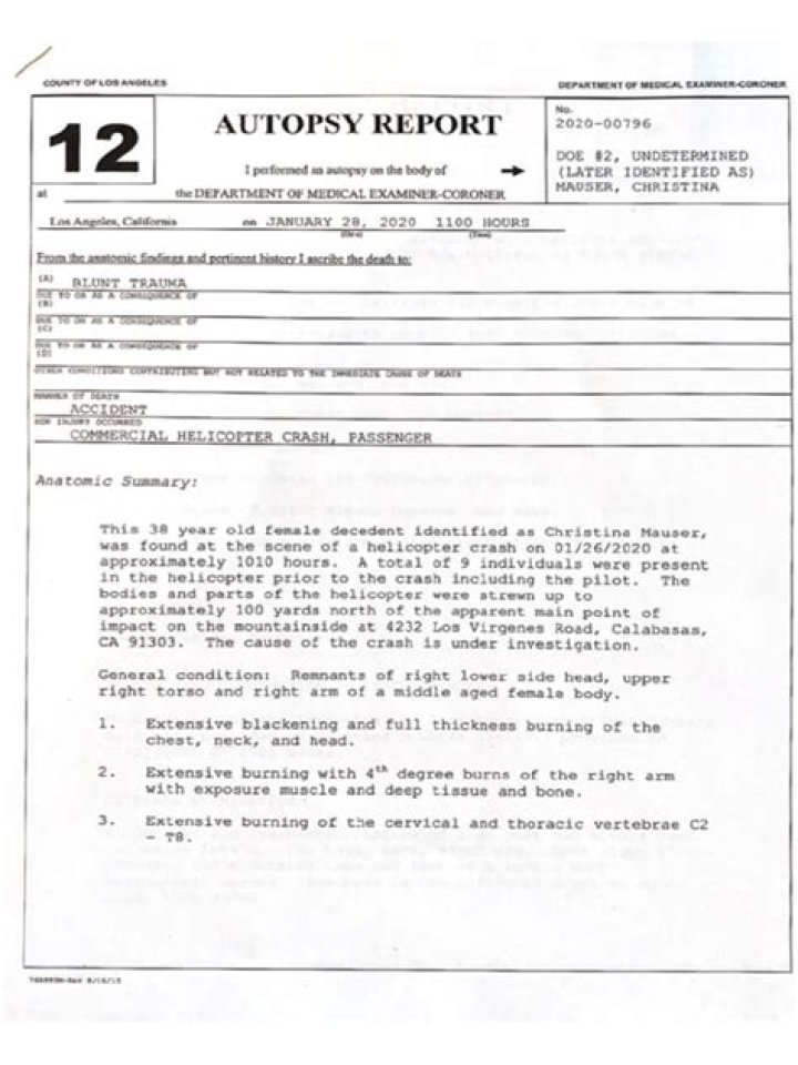 
Was Christina Mauser Autopsy Sketch Exposed On Reddit? Husband Matt Mauser Tribute 