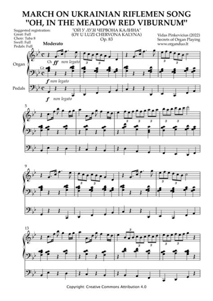 
What is The Red Viburnum In The Meadow Song? Find The Lyrics & English Translation Of The Ukrainian Fight Song 