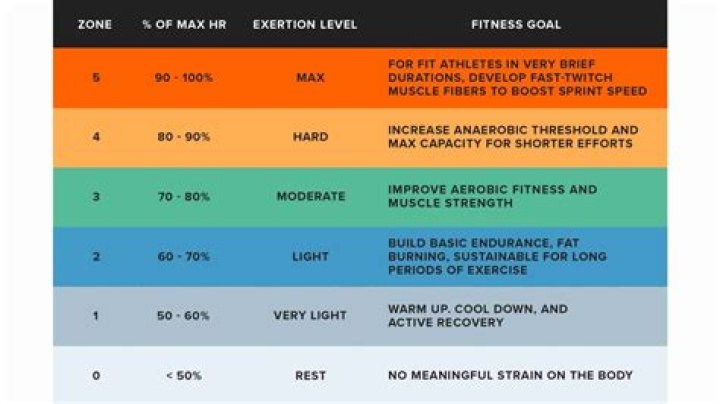 Zone2 Height, Weight, Net Worth, Age, Birthday, Wikipedia, Who, Instagram, Biography